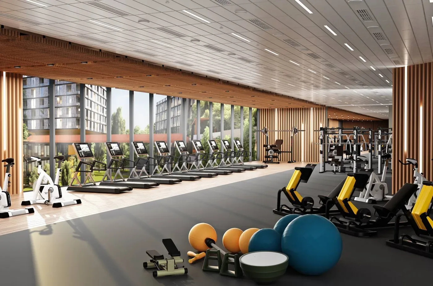 Complex gym